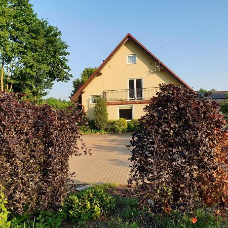 Gospodarstwo Agroturystyczne Damroka 兹姆巴克 外观 照片