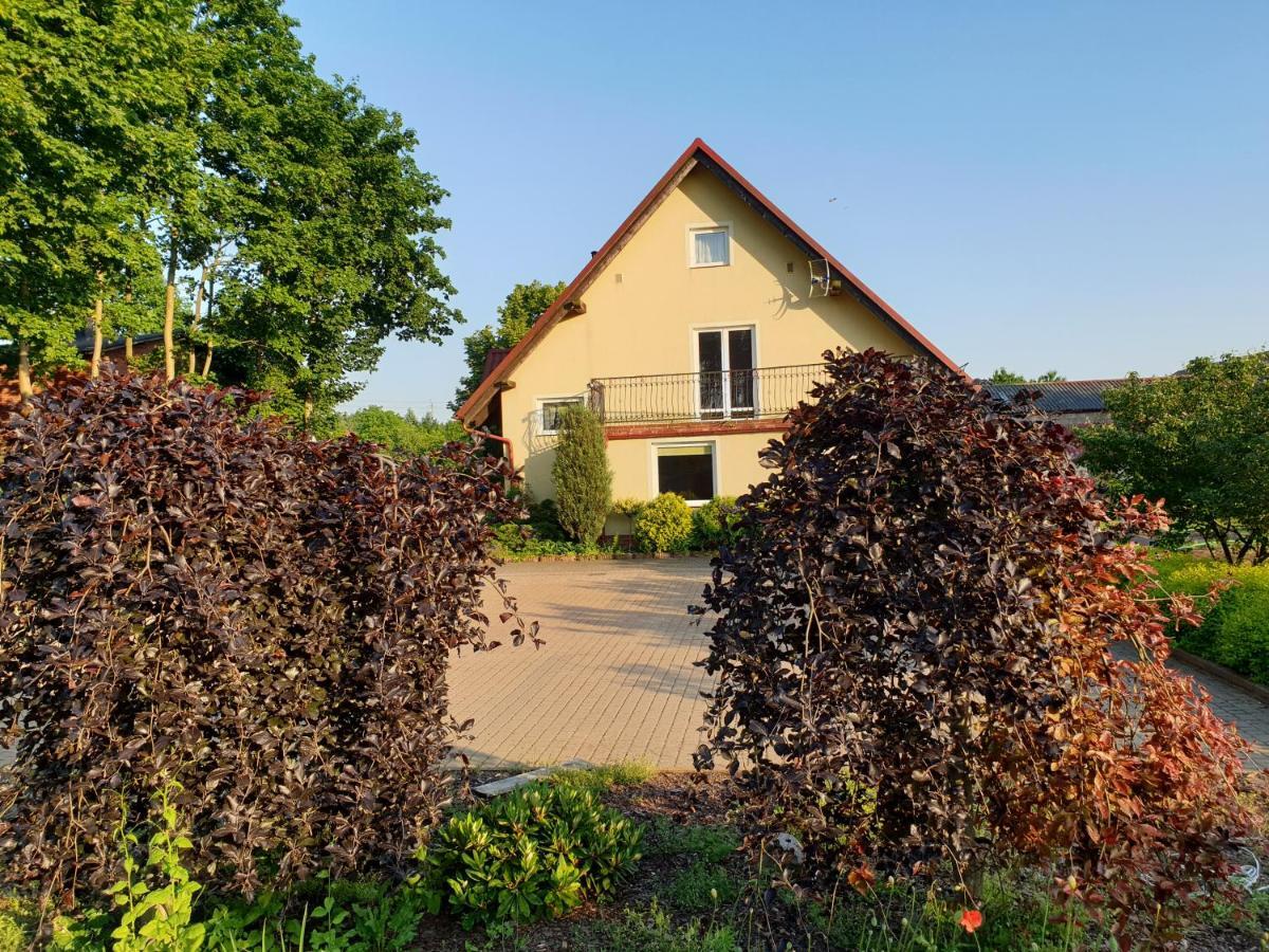 Gospodarstwo Agroturystyczne Damroka 兹姆巴克 外观 照片